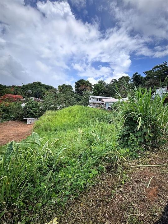 En Venta: $99,900 (0.02 acres)