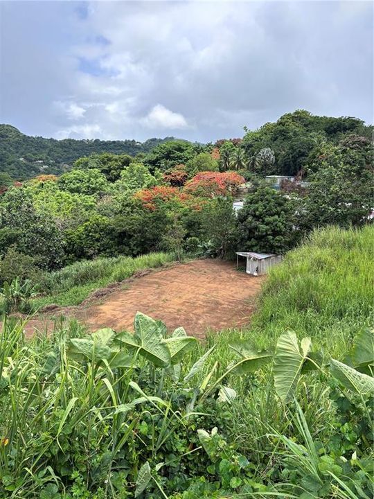 En Venta: $99,900 (0.02 acres)