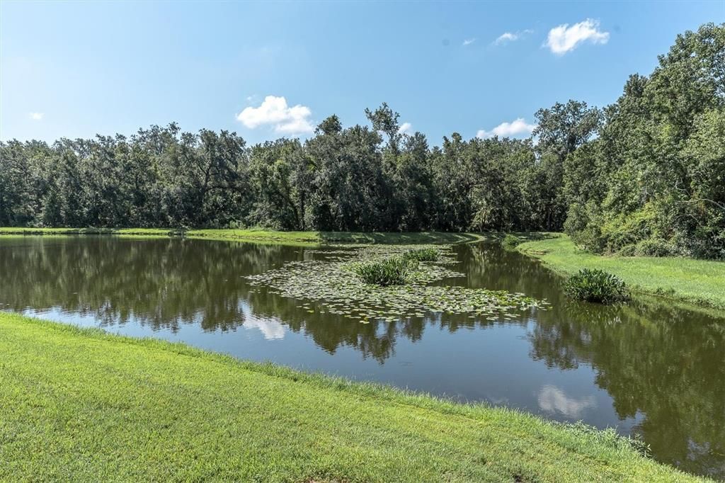 For Sale: $769,000 (4 beds, 3 baths, 2897 Square Feet)