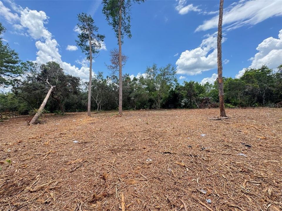 For Sale: $33,900 (0.49 acres)