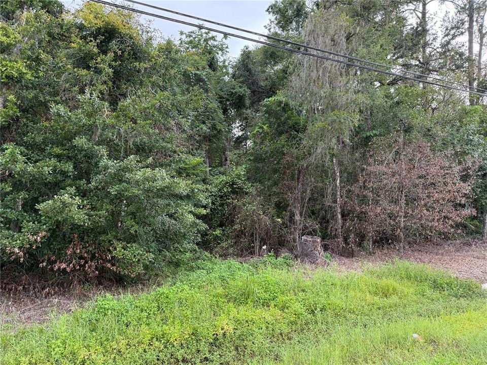 For Sale: $34,900 (0.34 acres)