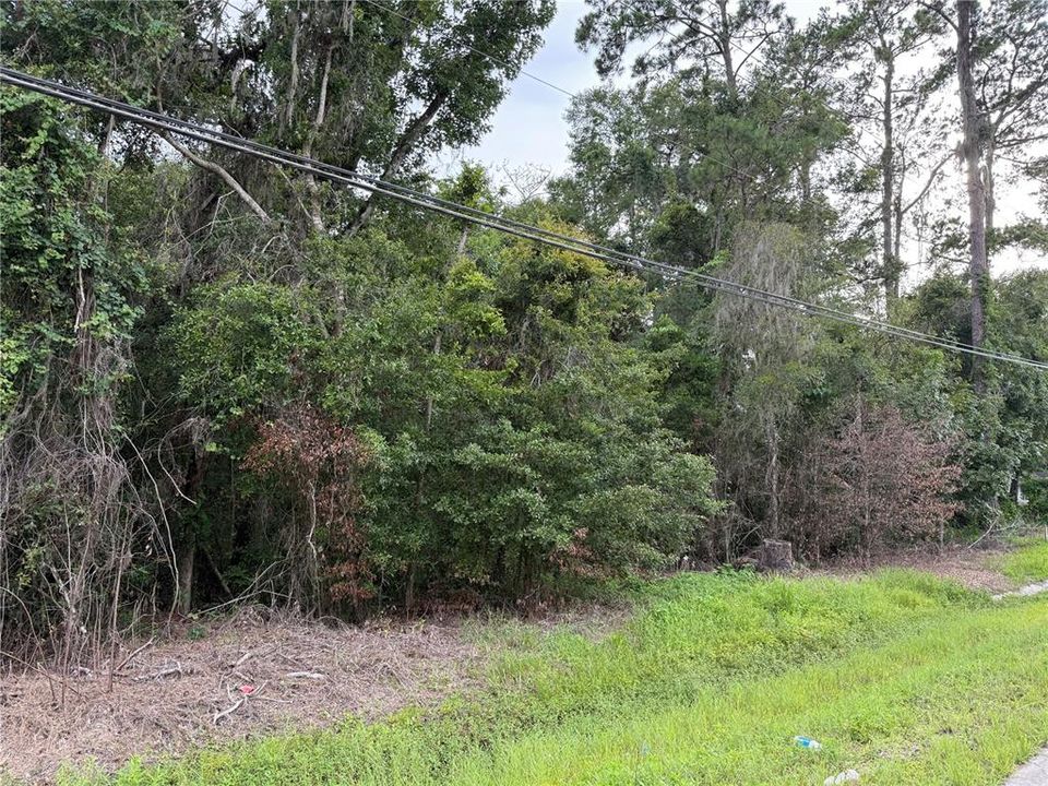 For Sale: $34,900 (0.34 acres)