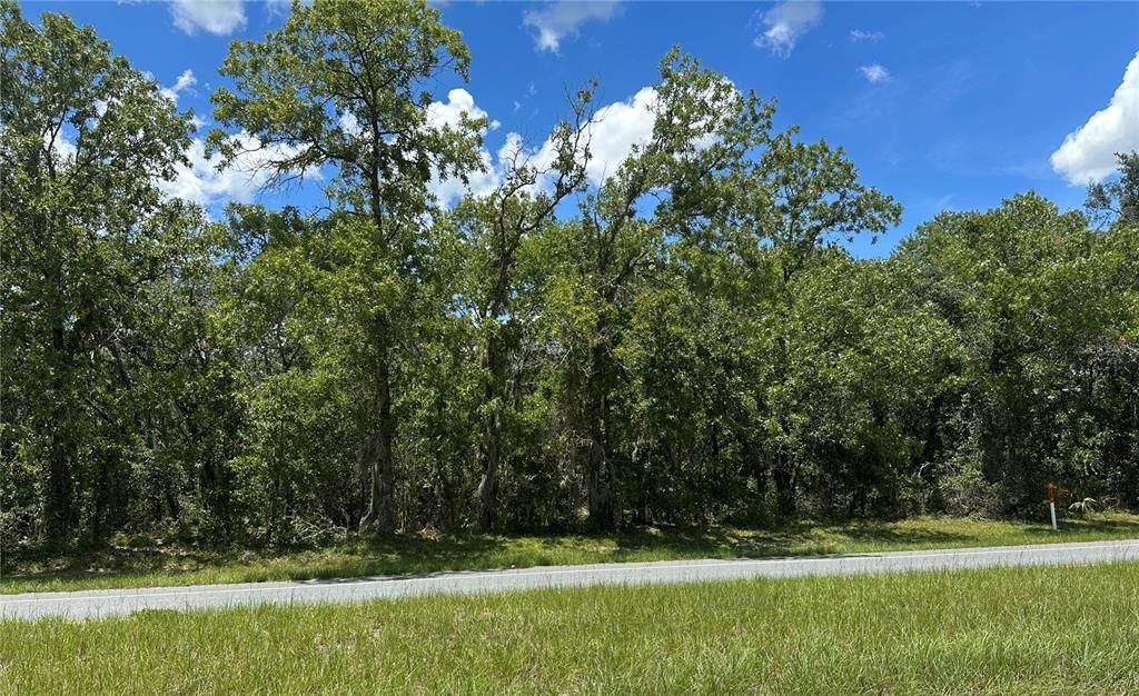 待售: $158,400 (2.56 acres)