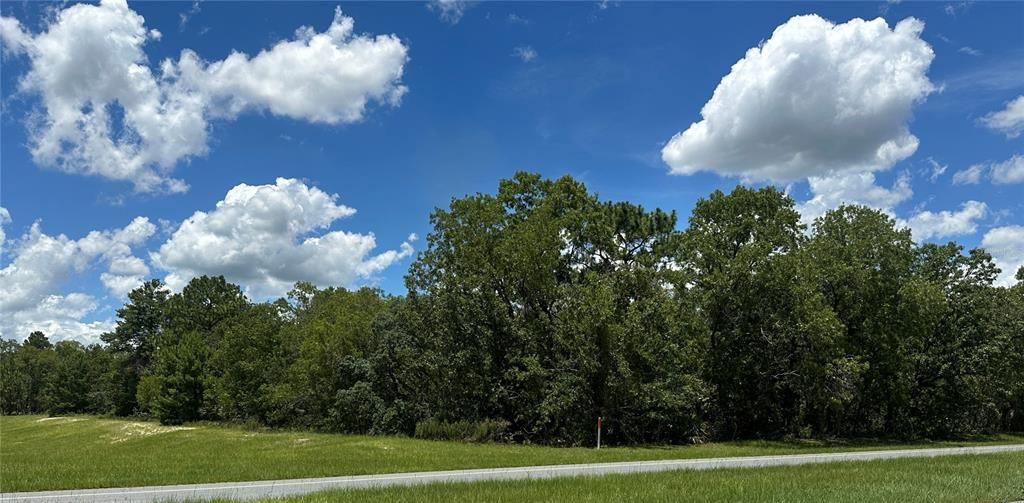 待售: $158,400 (2.56 acres)