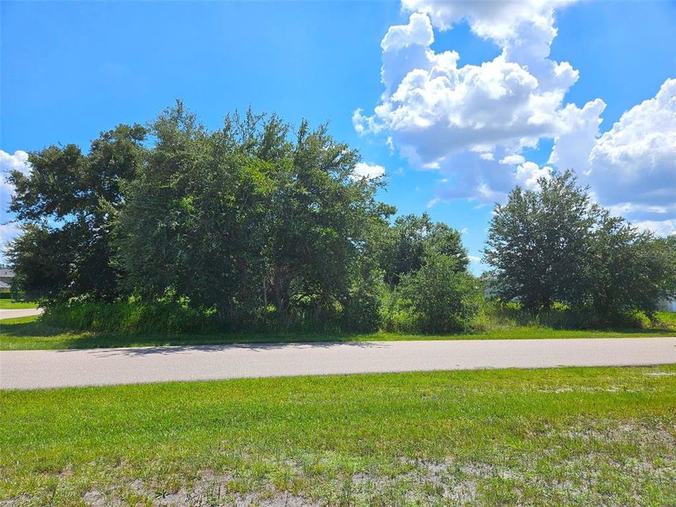 待售: $85,000 (0.51 acres)