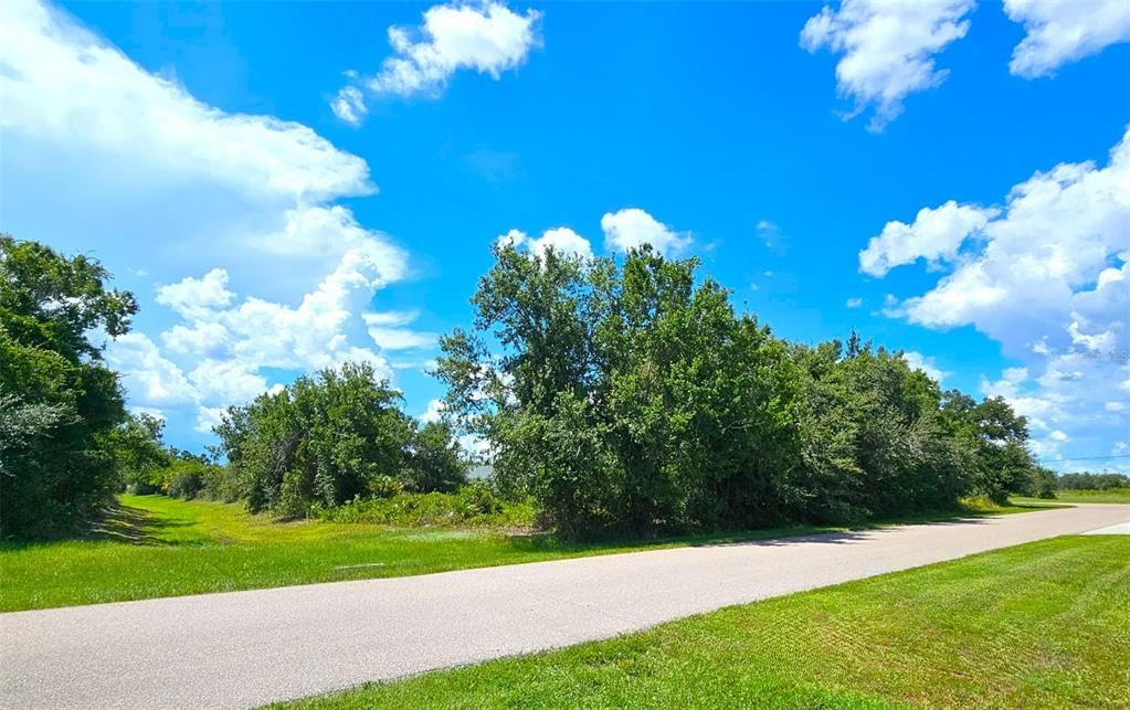 待售: $85,000 (0.51 acres)