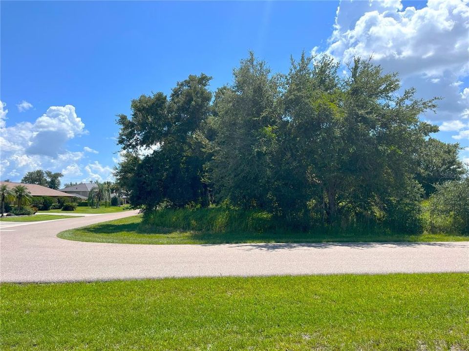 待售: $85,000 (0.51 acres)