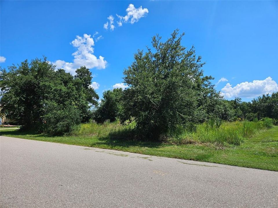 待售: $85,000 (0.51 acres)