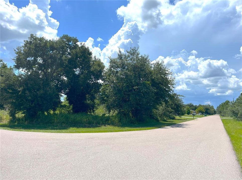 待售: $85,000 (0.51 acres)