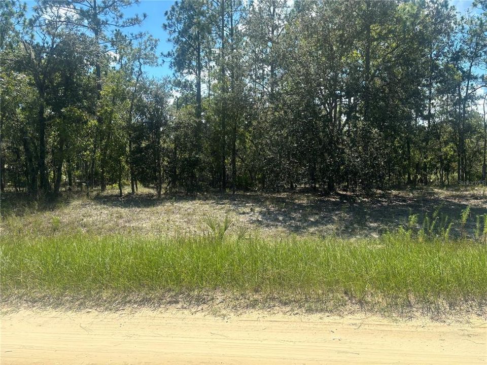 最近售出: $49,900 (1.16 acres)