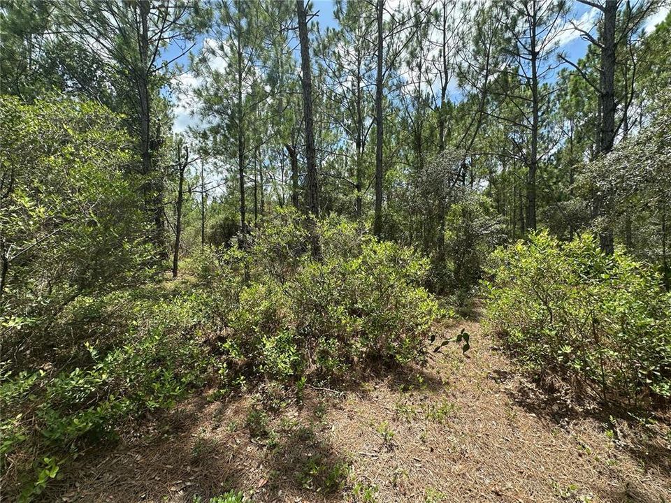 En Venta: $487,050 (32.47 acres)