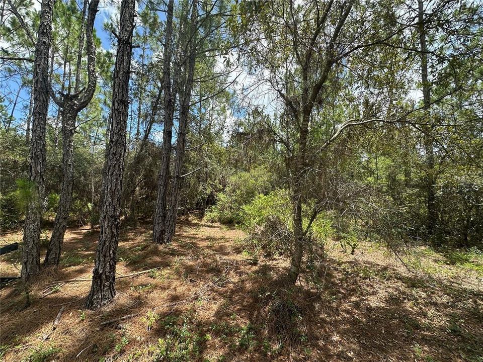 En Venta: $487,050 (32.47 acres)