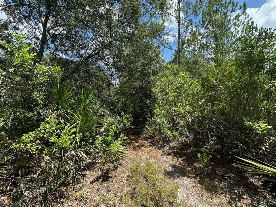 En Venta: $487,050 (32.47 acres)