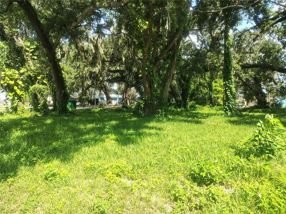 На продажу: $224,900 (0.35 acres)