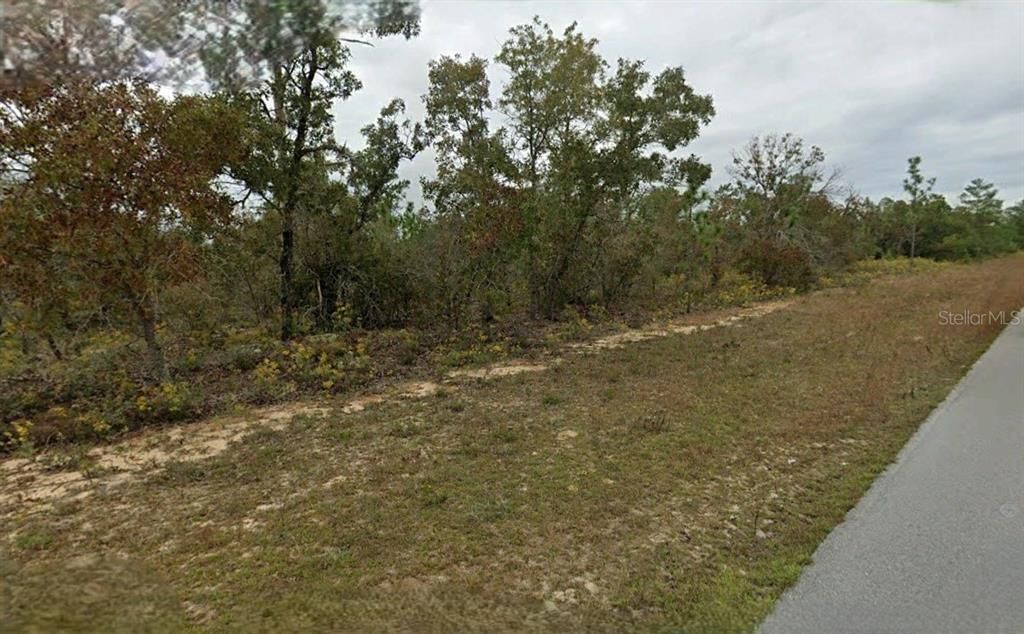 For Sale: $10,000 (0.41 acres)