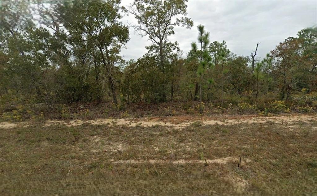 For Sale: $10,000 (0.41 acres)