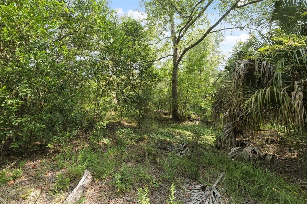 Под контрактом: $150,000 (3 спален, 2 ванн, 1196 Квадратных фут)