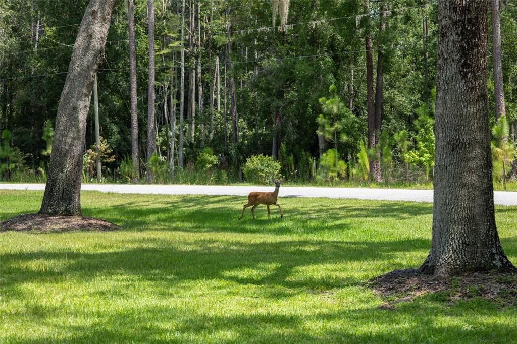 For Sale: $765,000 (4 beds, 3 baths, 2871 Square Feet)