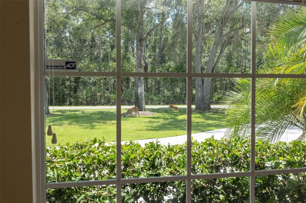 For Sale: $765,000 (4 beds, 3 baths, 2871 Square Feet)