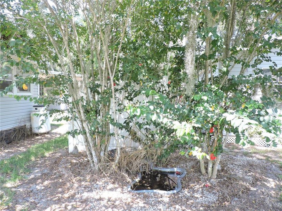 待售: $164,900 (2 贝兹, 1 浴室, 1166 平方英尺)