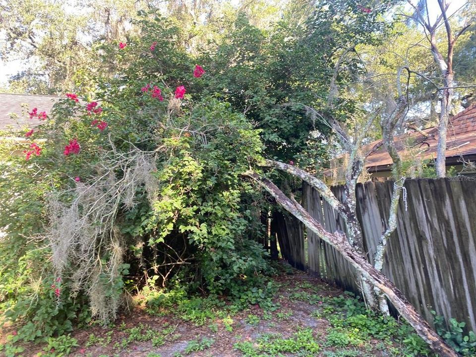 合同活跃: $268,900 (3 贝兹, 2 浴室, 1269 平方英尺)