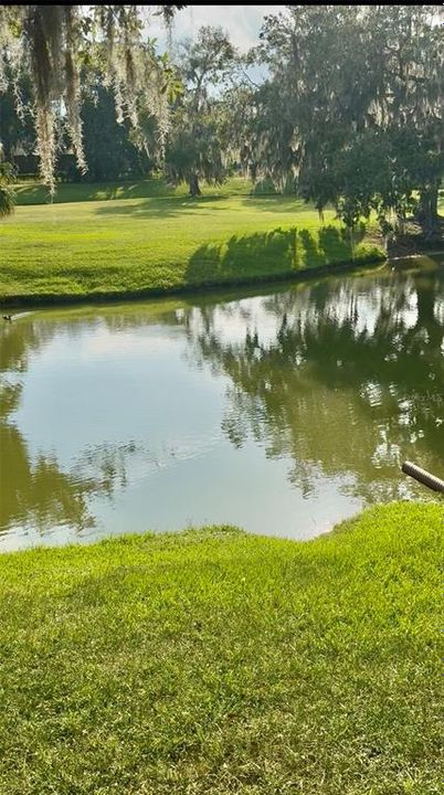 合同活跃: $210,000 (2 贝兹, 1 浴室, 957 平方英尺)