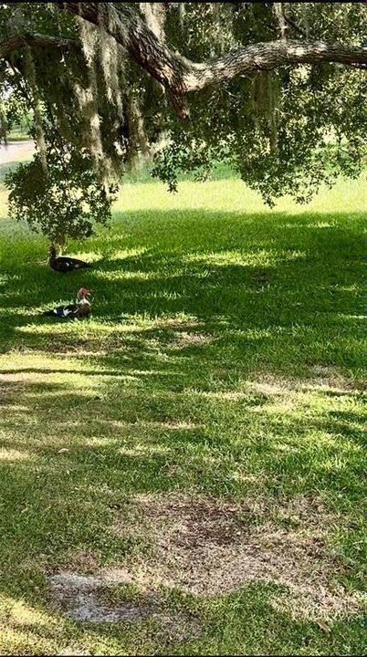 合同活跃: $210,000 (2 贝兹, 1 浴室, 957 平方英尺)