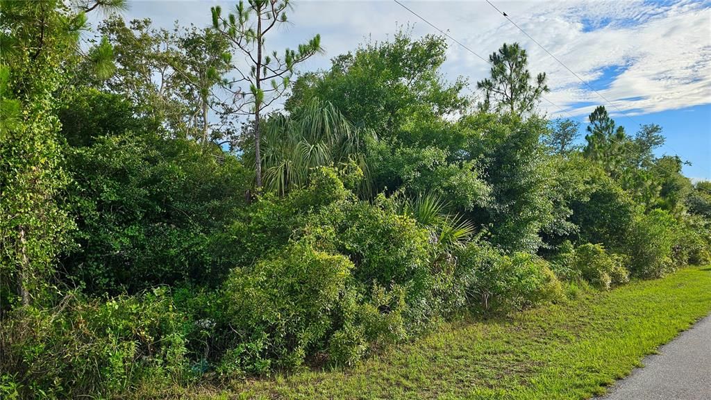 Под контрактом: $11,500 (0.23 acres)