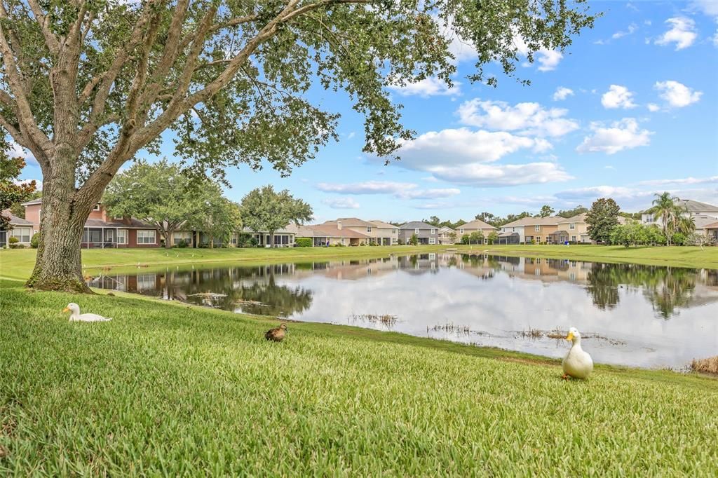 For Sale: $535,000 (4 beds, 2 baths, 3062 Square Feet)