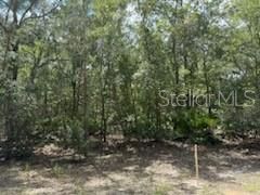 For Sale: $8,400 (0.34 acres)