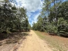 For Sale: $8,400 (0.34 acres)