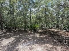 For Sale: $8,400 (0.34 acres)