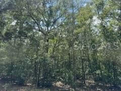 For Sale: $8,400 (0.34 acres)