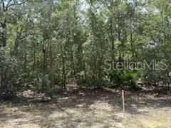 For Sale: $8,400 (0.34 acres)