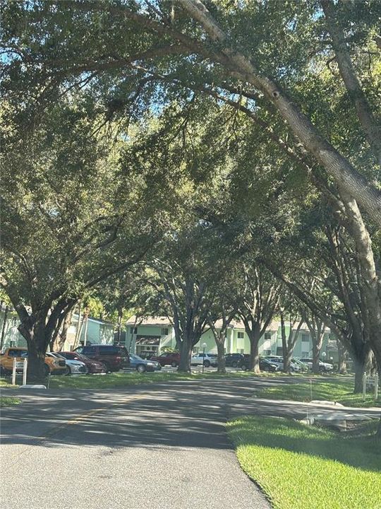 En Venta: $139,900 (2 camas, 2 baños, 1138 Pies cuadrados)