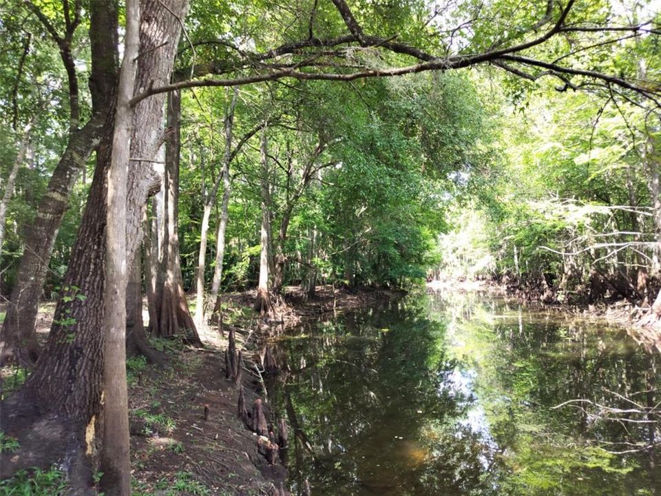 待售: $89,000 (0.87 acres)