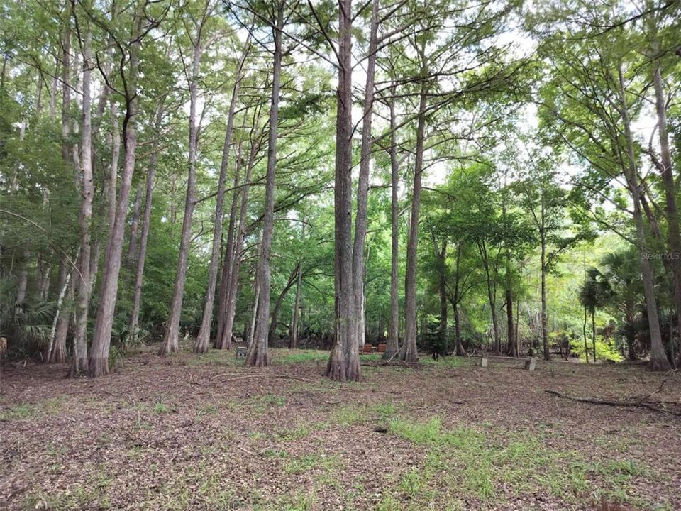 待售: $89,000 (0.87 acres)