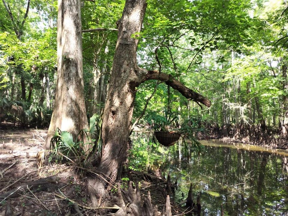 待售: $89,000 (0.87 acres)