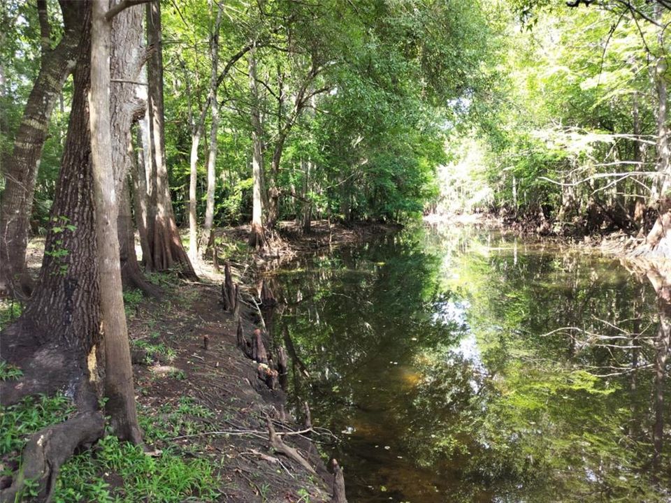 待售: $89,000 (0.87 acres)