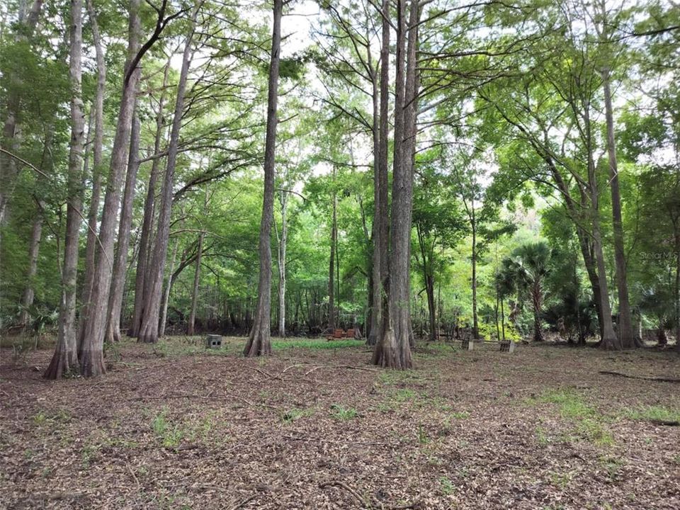 待售: $89,000 (0.87 acres)