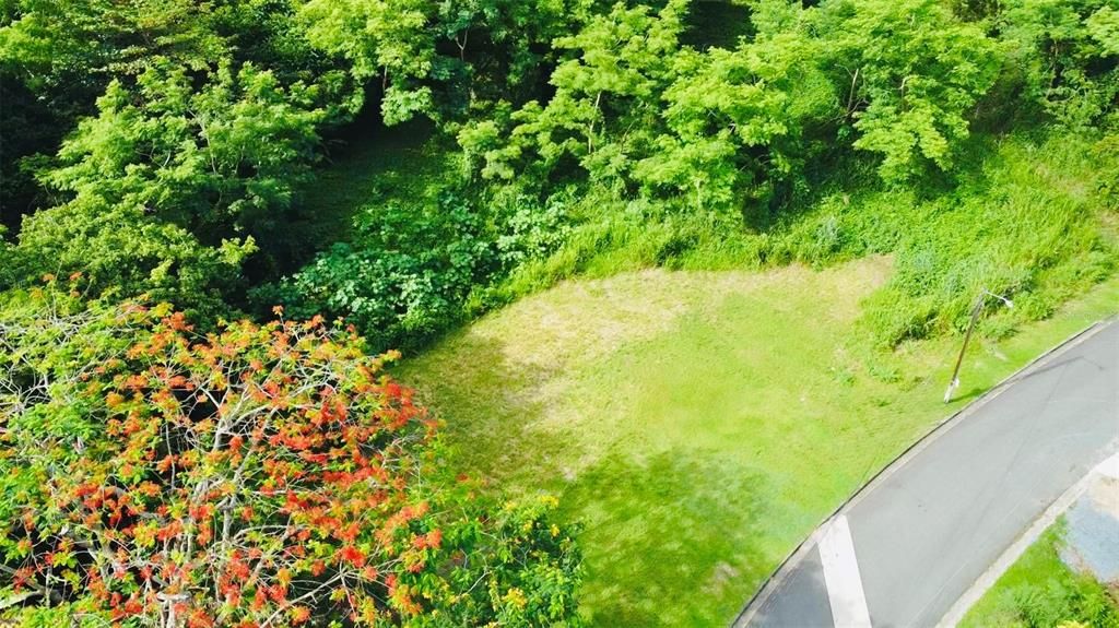 En Venta: $330,000 (1.04 acres)