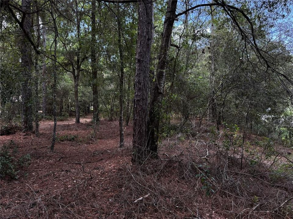 En Venta: $45,000 (1.06 acres)