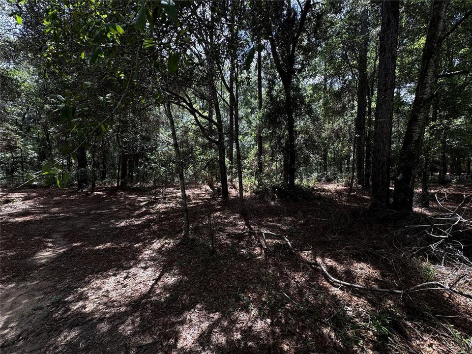 En Venta: $45,000 (1.06 acres)