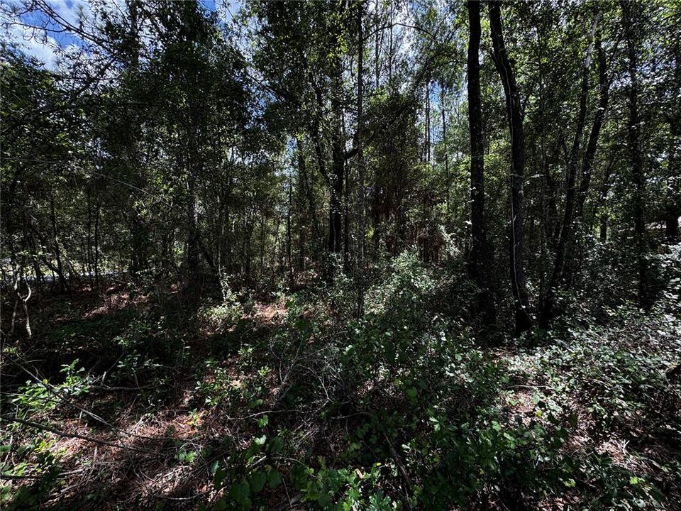 En Venta: $45,000 (1.06 acres)