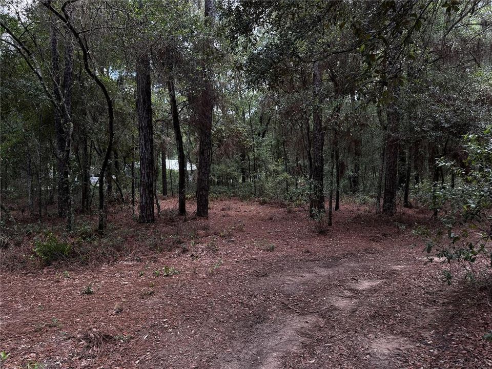 En Venta: $45,000 (1.06 acres)