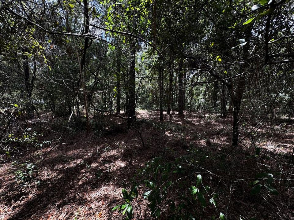 En Venta: $45,000 (1.06 acres)