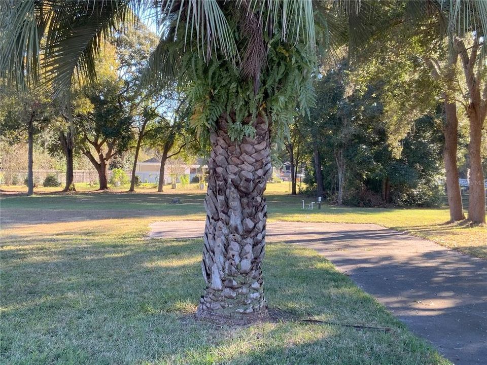 На продажу: $84,900 (0.46 acres)