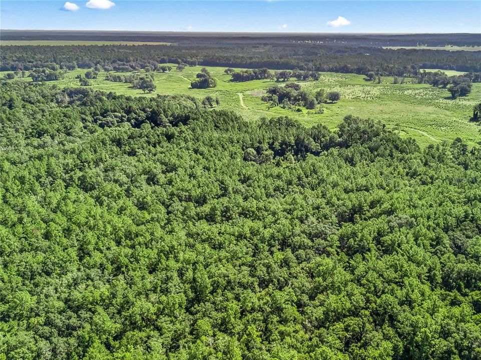 En Venta: $125,000 (10.00 acres)