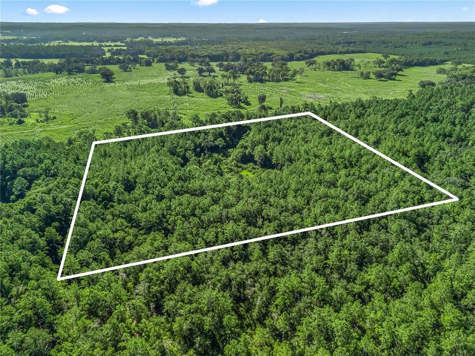 En Venta: $125,000 (10.00 acres)