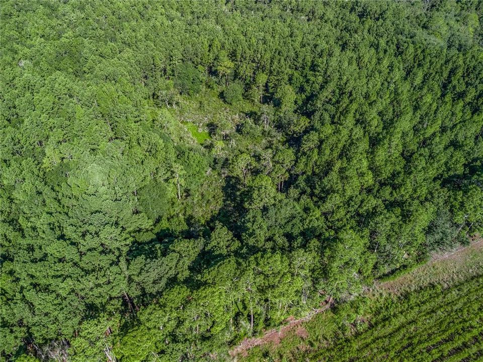 En Venta: $125,000 (10.00 acres)